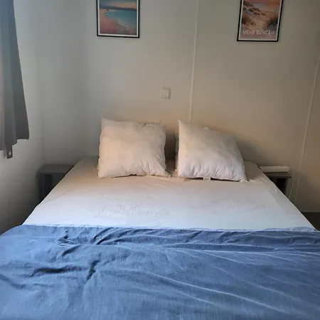 Ocean *